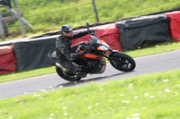 Fowlers 1009
