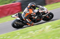 Fowlers 0781
