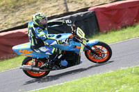 Fowlers 0695
