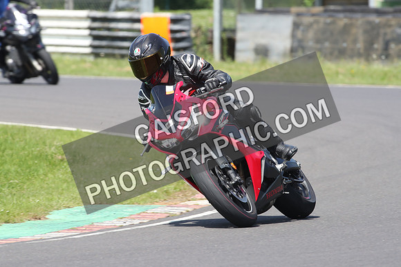 BIKES 0893