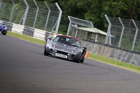 LOTUS 1343