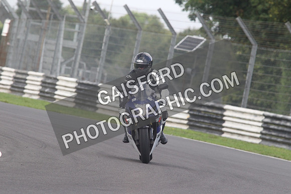 BIKES 1568