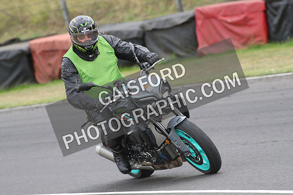 BIKES 1161