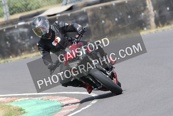 BIKES 0981