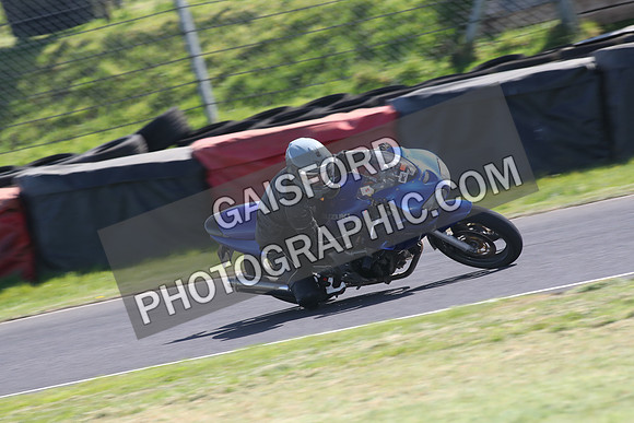 BIKES 1606