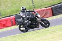 Fowlers 0529