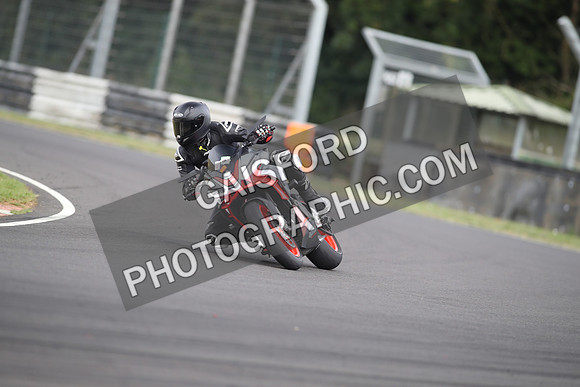 BIKES 0049