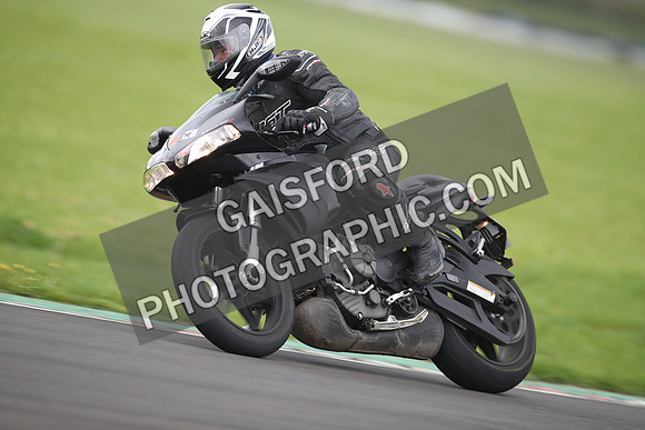 BIKES 1233