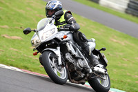 Fowlers 0534