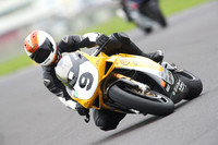 Fowlers 0482