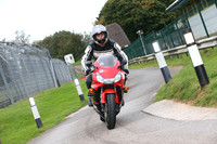 Honda Fireblade red