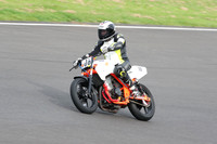 Fowlers 1204