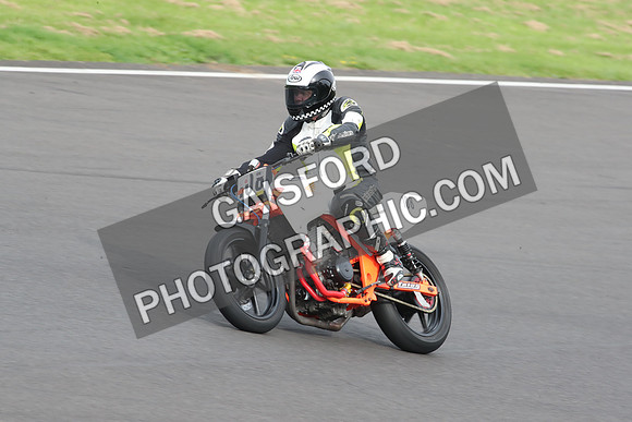 Fowlers 1204