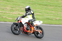 Fowlers 1205