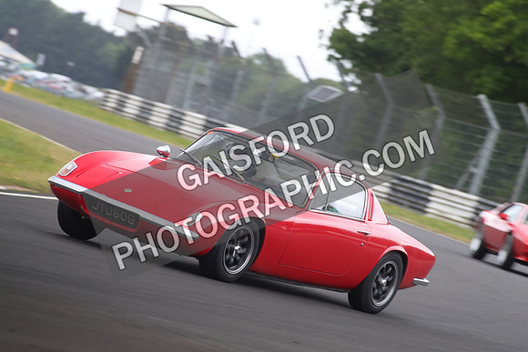 LOTUS 1302