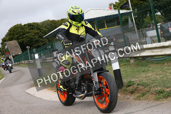 BIKES 0104
