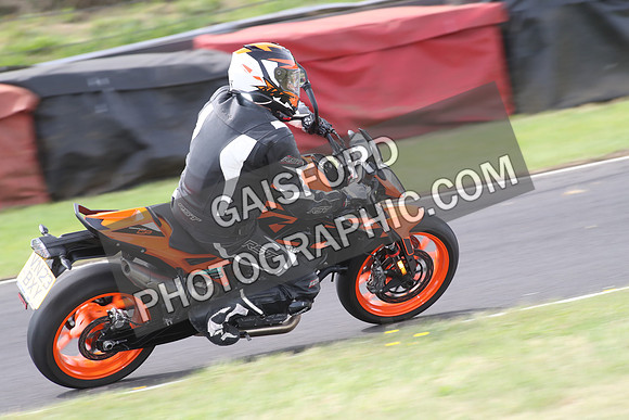 BIKES 1649