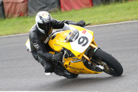 Fowlers 0593