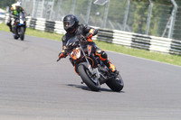 BIKES 1742