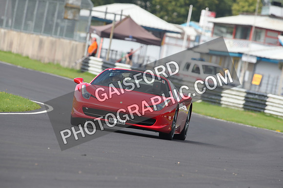 Ferrari combe 0241