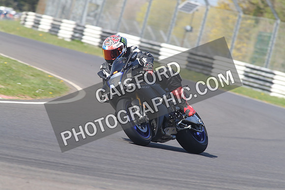 BIKES 1501