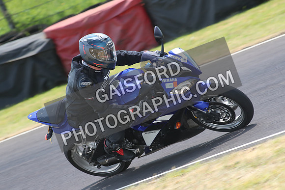 BIKES 1465
