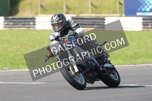 BIKES 0264