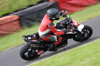Fowlers 0673