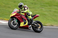 Fowlers 0991