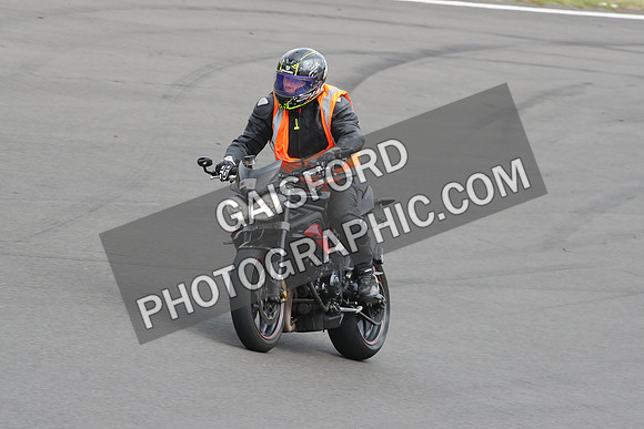 BIKES 1239