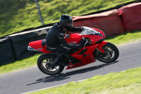 BIKES 1615