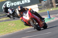 Fowlers 0266