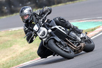 BIKES 0581