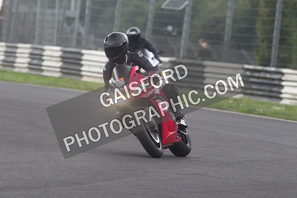 BIKES 1379