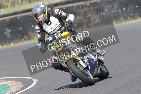 BIKES 0690