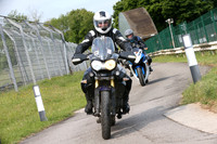 Triumph Tiger