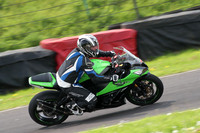 Fowlers 0966