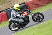 Fowlers 0768