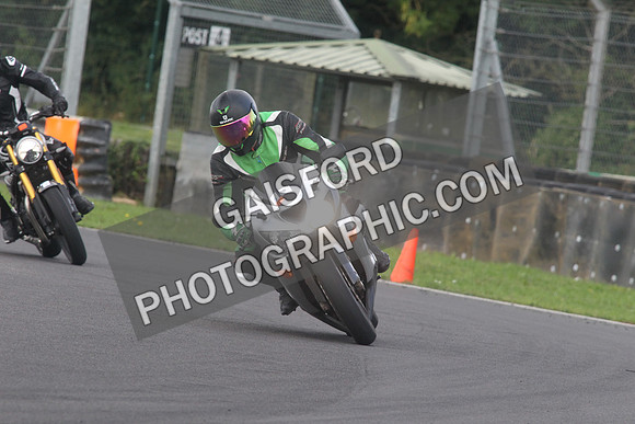 BIKES 1556