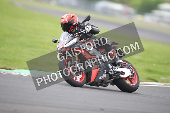 BIKES 1303