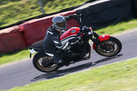 BIKES 1583