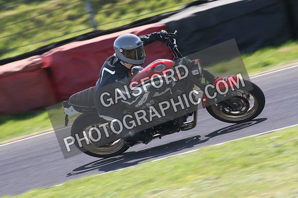 BIKES 1583