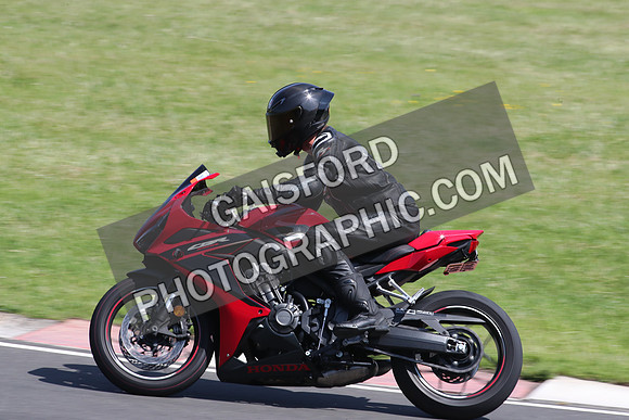 BIKES 2239