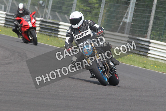 BIKES 1699