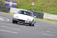 JDM 0271