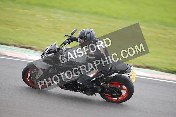 BIKES 2014