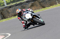 Fowlers 0670