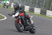 BIKES 1538