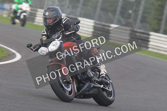 BIKES 1538
