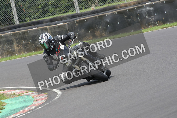 BIKES 0831
